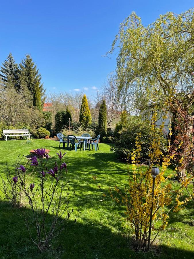 Gemuetliches Appartement - 20 Min Bis Dresden Leppersdorf Kültér fotó